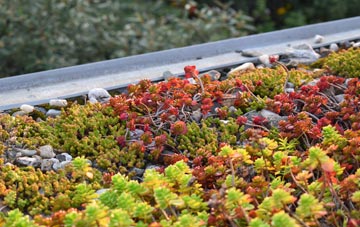 the cost of Mosedale green roof installation