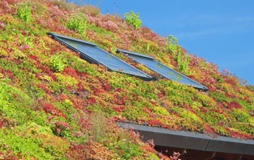 Mosedale living roof systems
